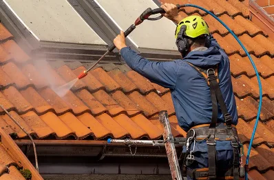 Démoussage et hydrofuge de toiture à Frontenas